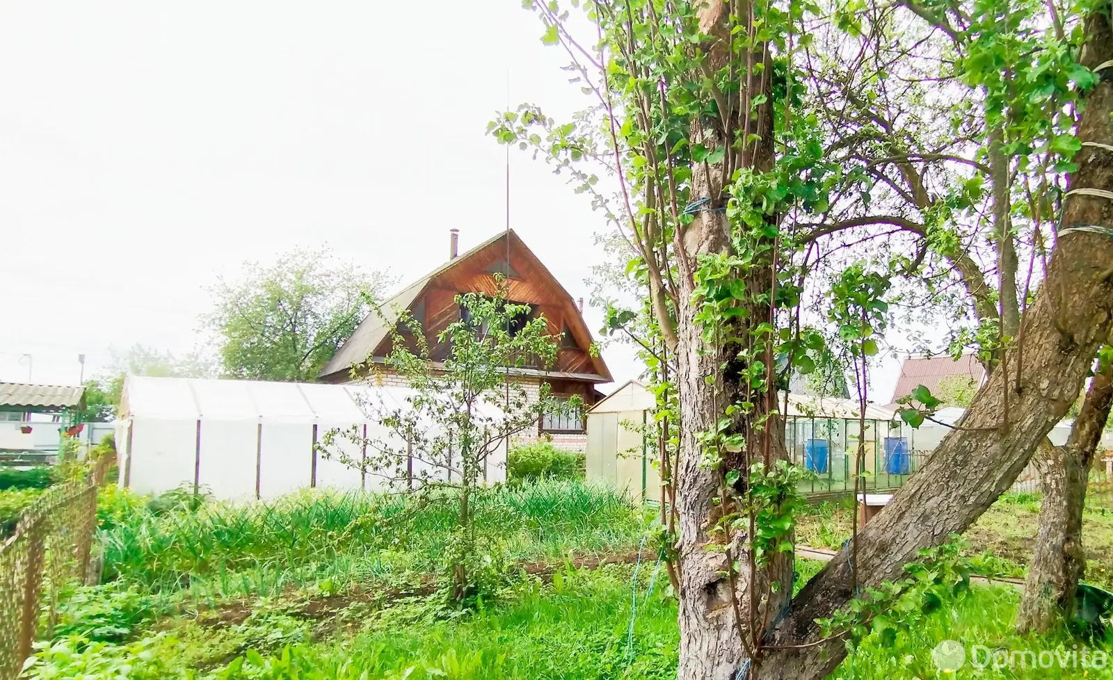 дача, Красный Октябрь, 