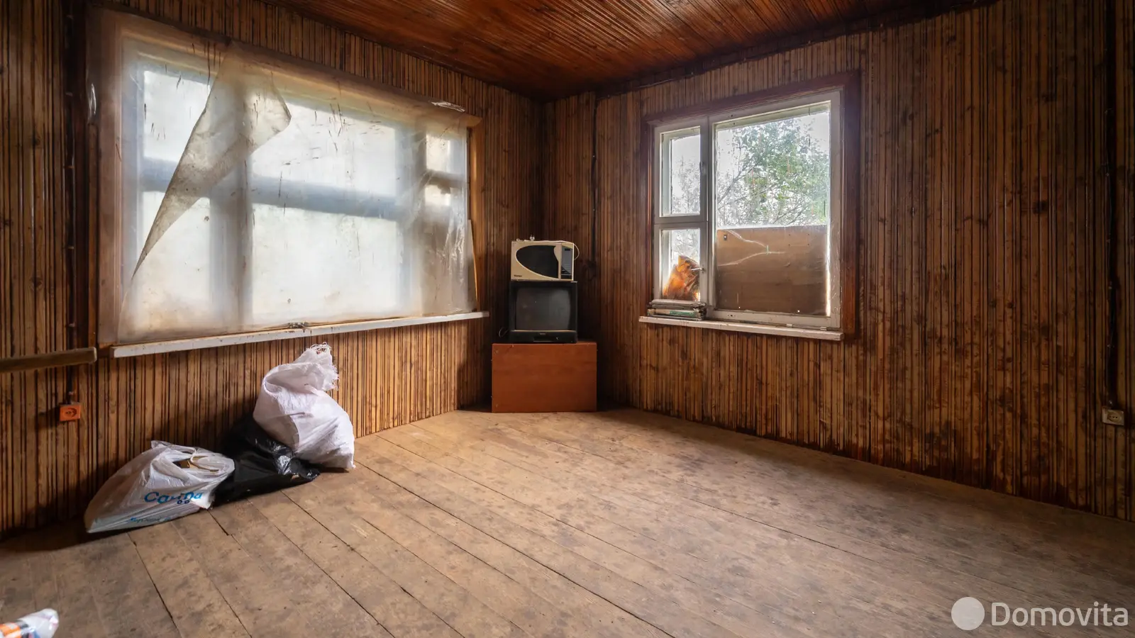 дача, Шарик,