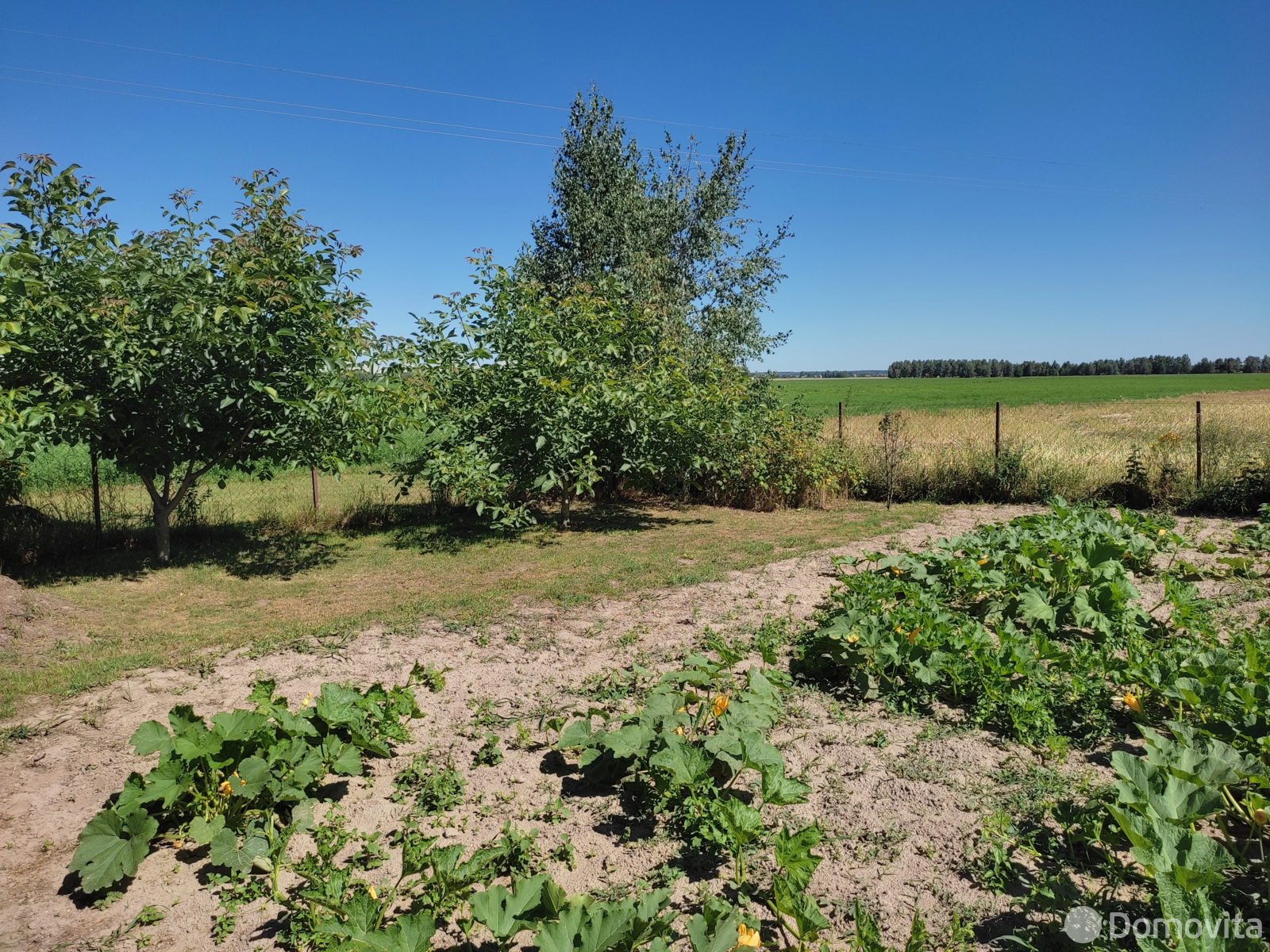 Купить 1-этажную дачу в Подгае Минская область, 9000USD, код 184121 - фото 27