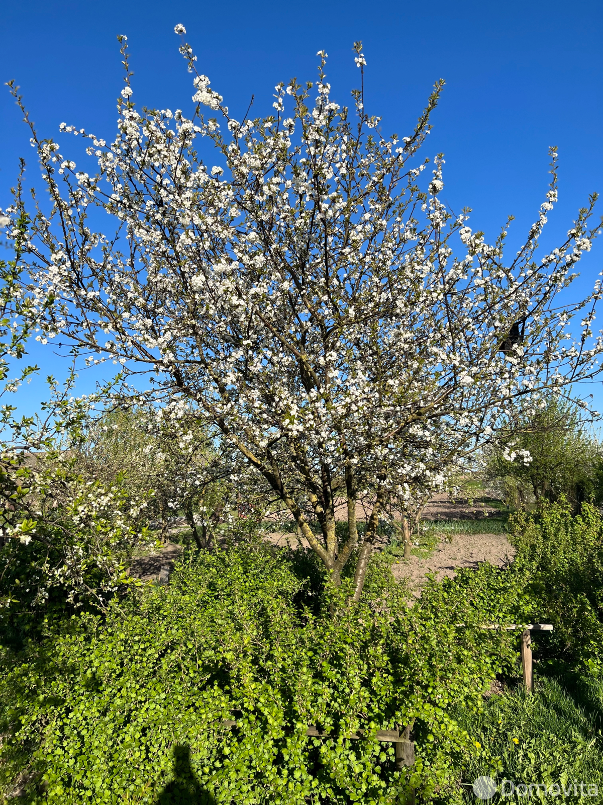 Продажа 1-этажной дачи в Преснаках Минская область, 13500USD, код 183548 - фото 14