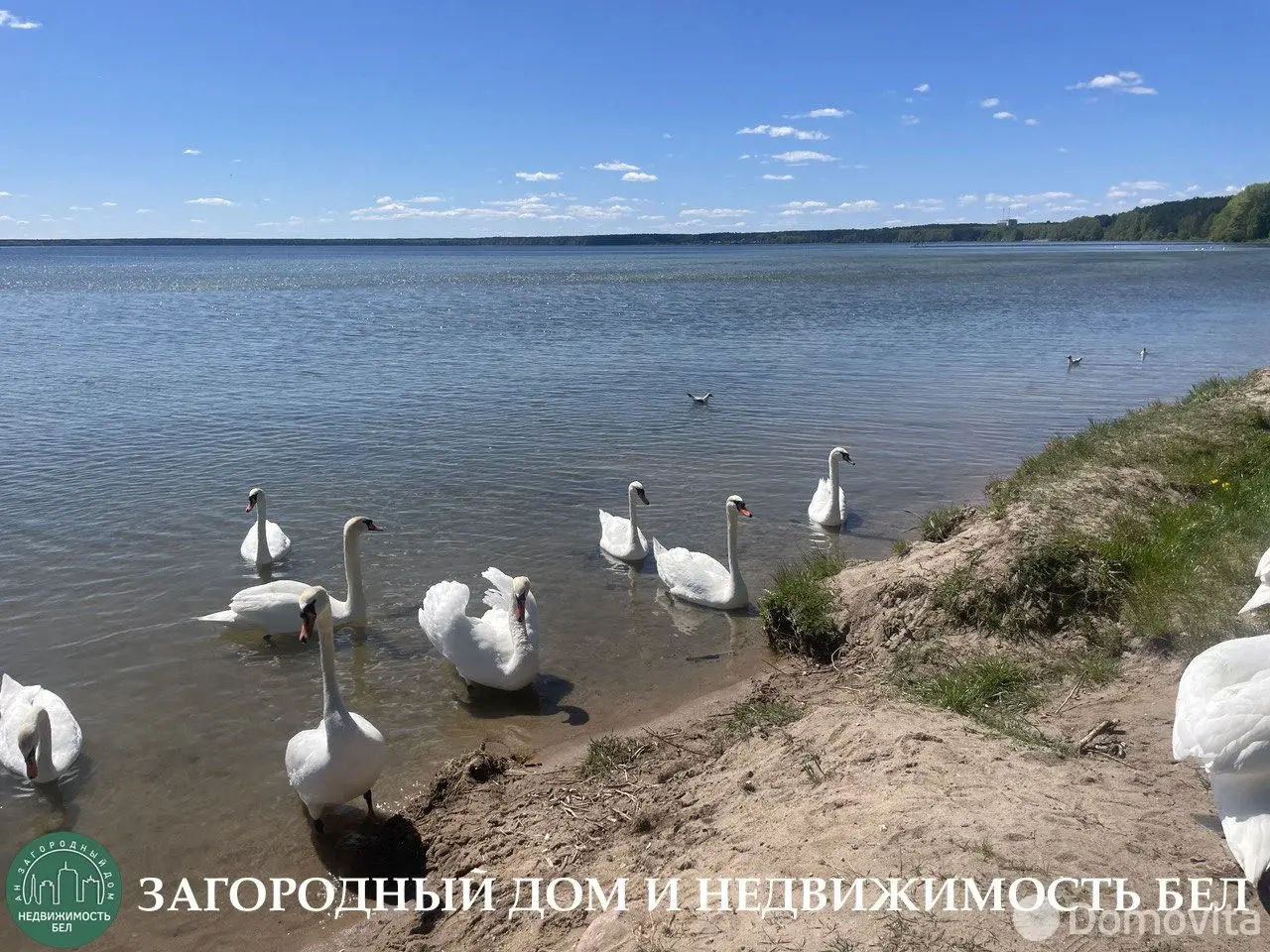 дом, Старый Лепель, - лучшее предложение