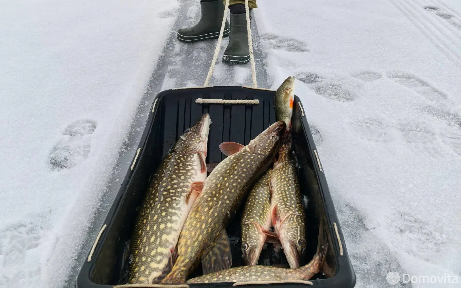 продажа дома, Потино, 