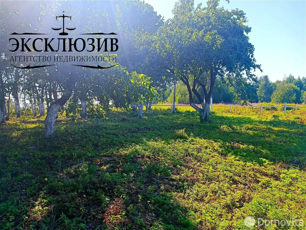 Купить земельный участок, 25 соток, Гиревичи, Минская область, 140000BYN, код 572180 - фото 19