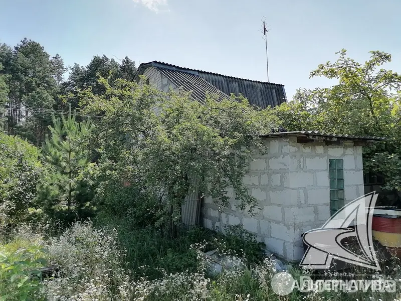 Продажа 2-этажной дачи в Леснянка Брестская область, 27000USD, код 165253 - фото 11