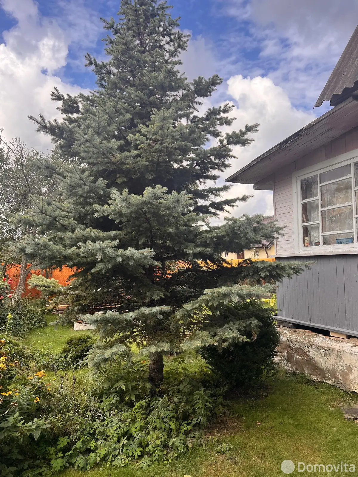 Продажа 1-этажной дачи в Станкостроитель Минская область, 9900USD, код 184179 - фото 17