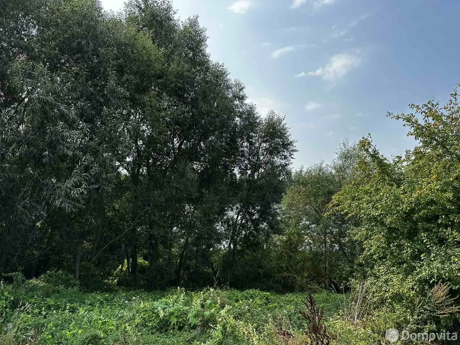 Купить земельный участок, 10 соток, Комотово, Гродненская область, 19900USD, код 570277 - фото 11