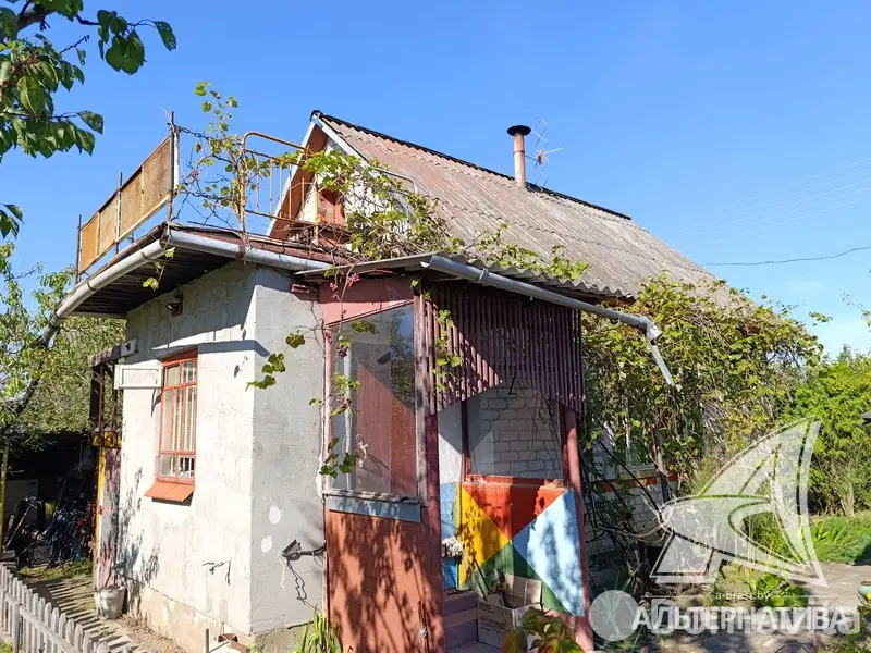 дача, Сигнал-2009, 