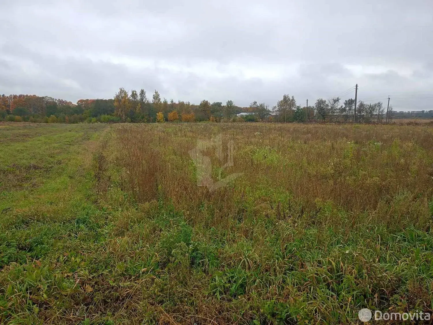 участок, Самохваловичи, - лучшее предложение