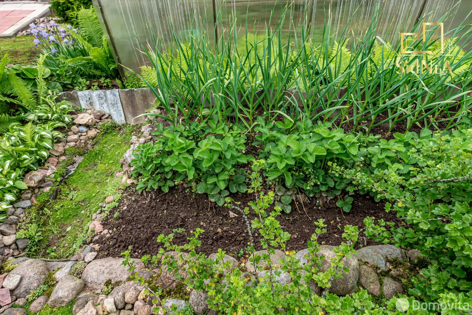 Продажа 2-этажной дачи в Восход-92 Минская область, 24900USD, код 183138 - фото 39