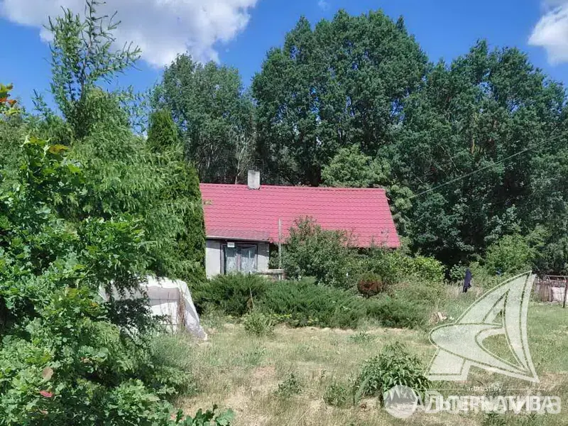 дом, Чижевщина,
