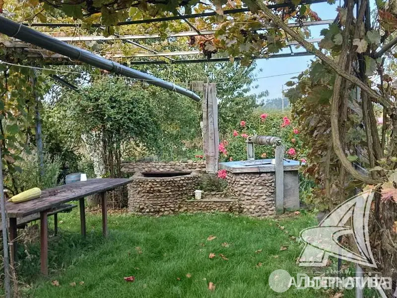 Купить 1-этажную дачу в Тепличка Брестская область, 10500USD, код 184261 - фото 13