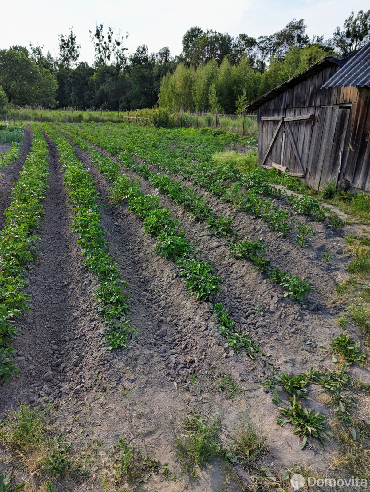 Цена продажи дачи, Кричевец, ул. Васильковая