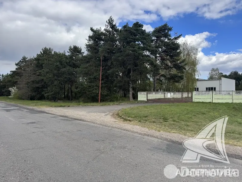 объект сферы услуг, Томашовка, 