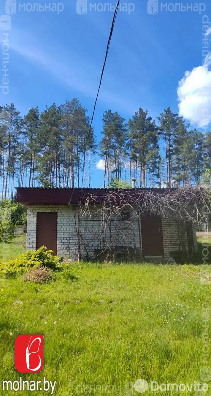 дача, ЛЕСНОЕ-ЛИВЬЕ, 