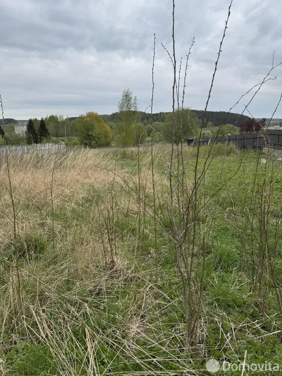 дом, Прилепы, ул. Школьная, д. 81 