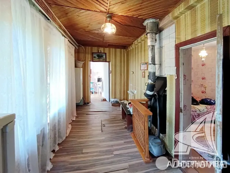 дача, Сигнал-2009, 