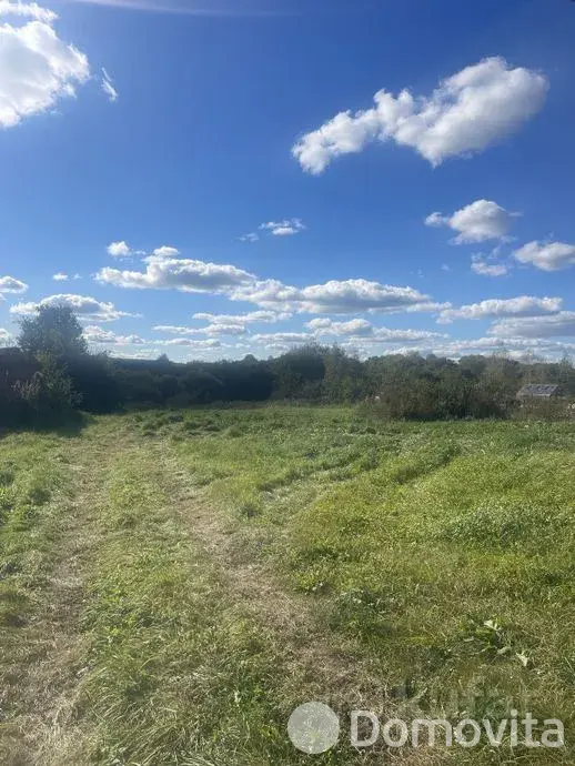 дом, Птичь, ул. Центральная, д. 54А