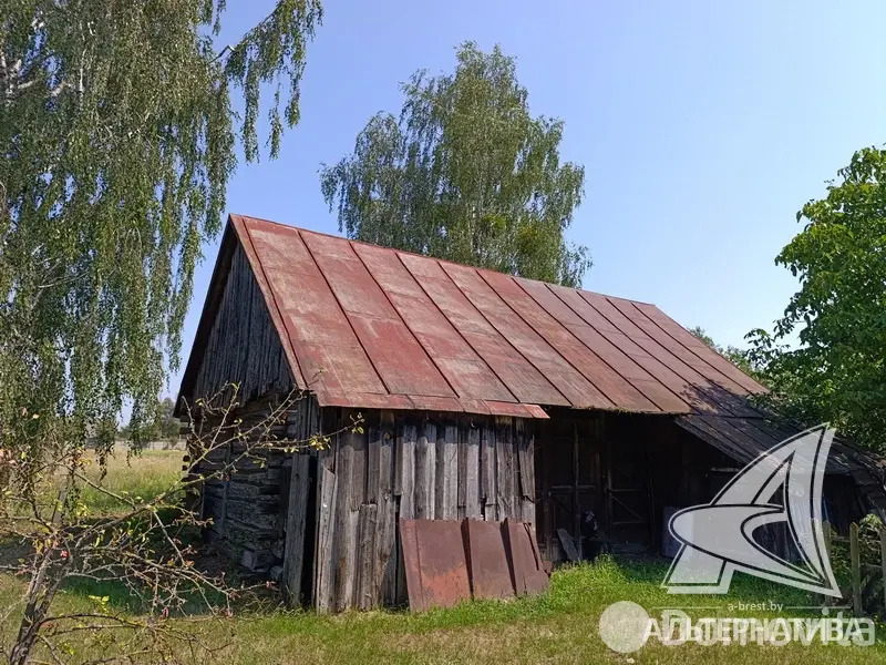 участок, Урожай ОАО Брестхлебопродукт, 