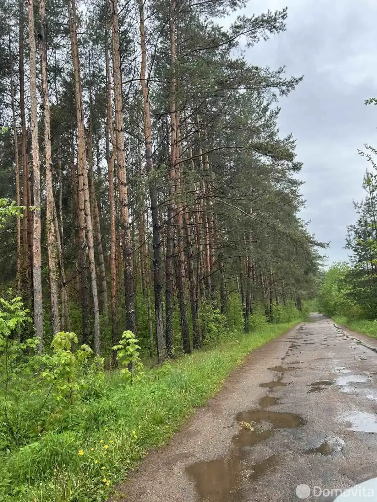 дача, Энергостроитель, 
