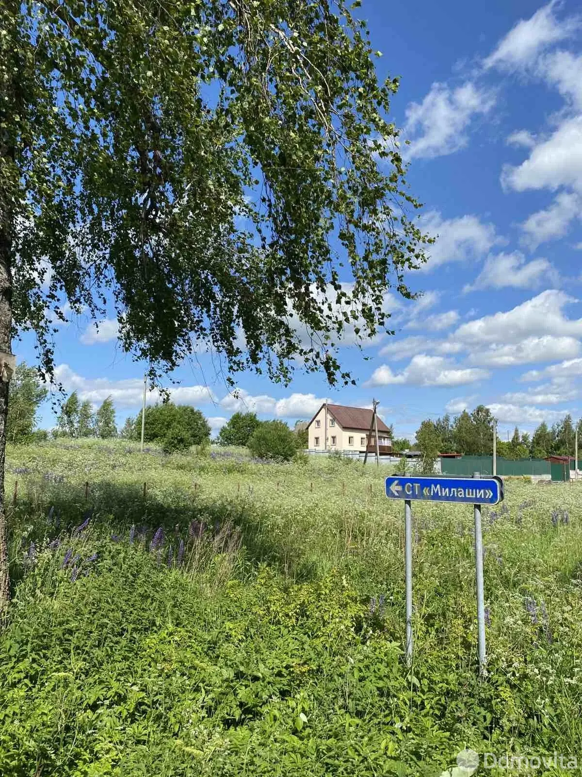 участок, Милаши, д. 62 