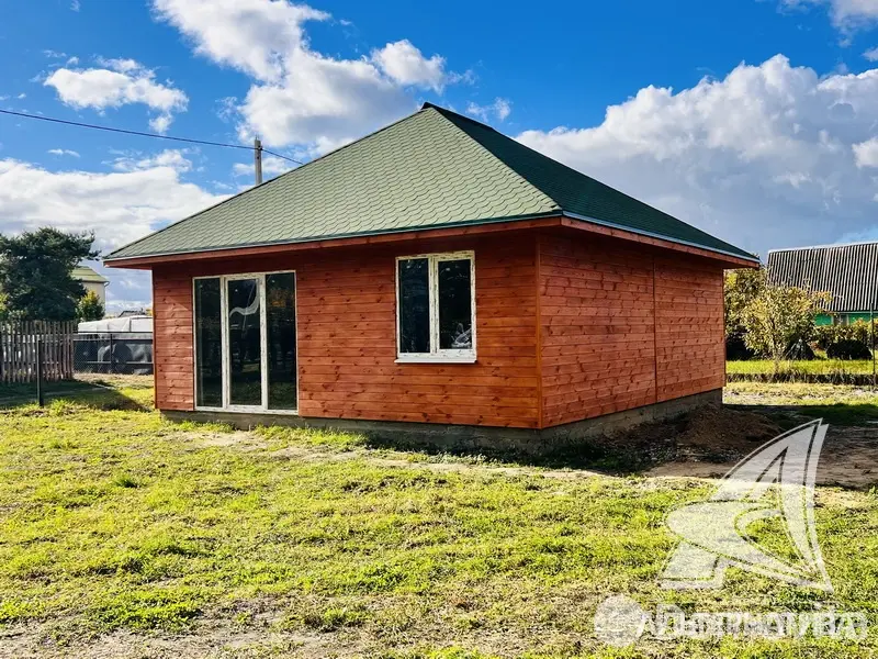 дача, Полиграфист-82,