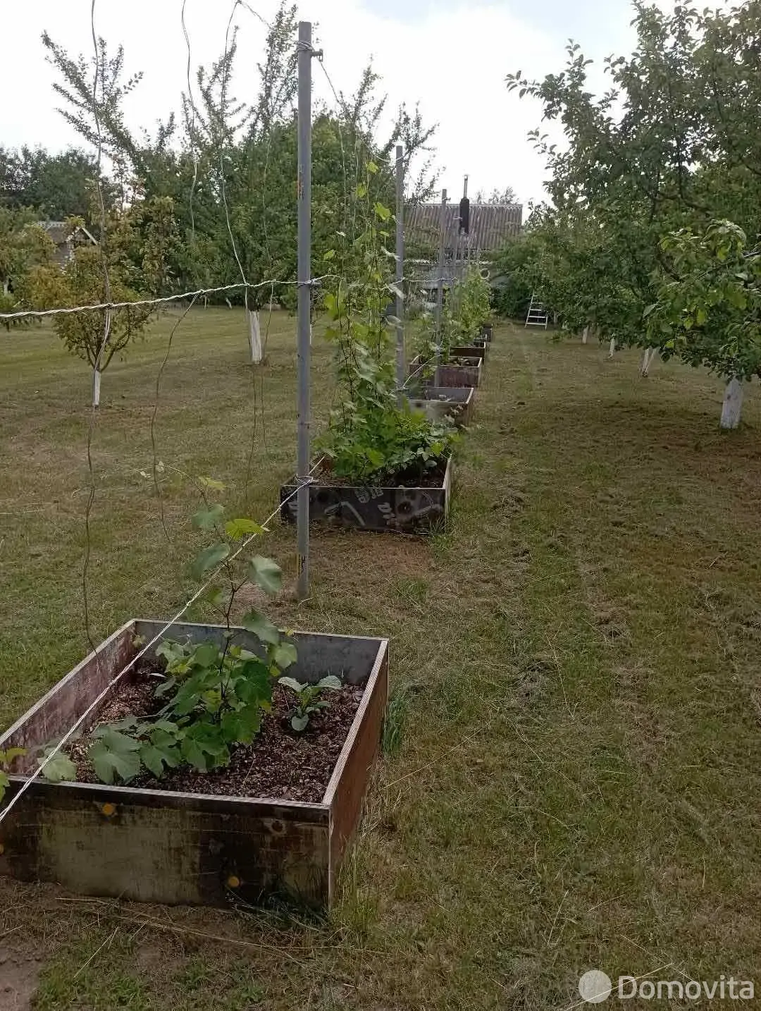 Купить земельный участок, 9.82 соток, Свислочь-сад, Минская область, 10500USD, код 571427 - фото 15