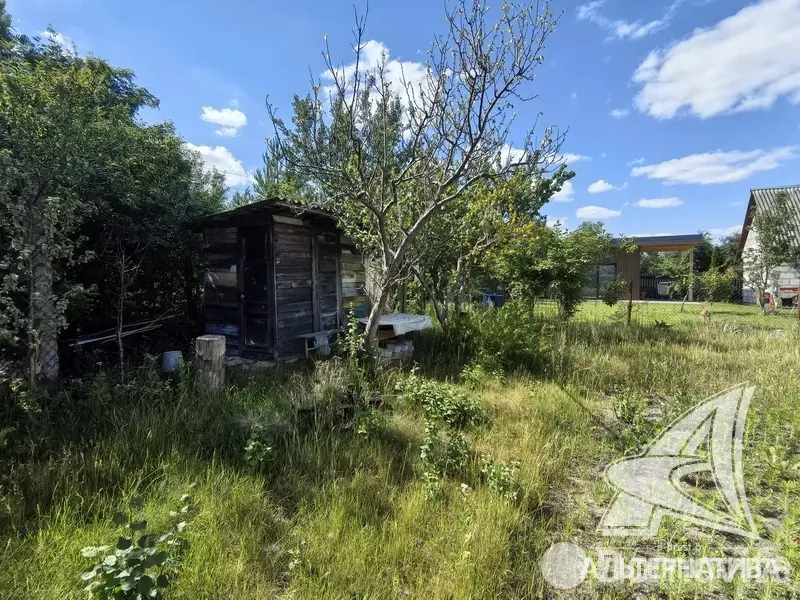 Купить 2-этажную дачу в Бресте Брестская область, 117600BYN, код 186250 - фото 36