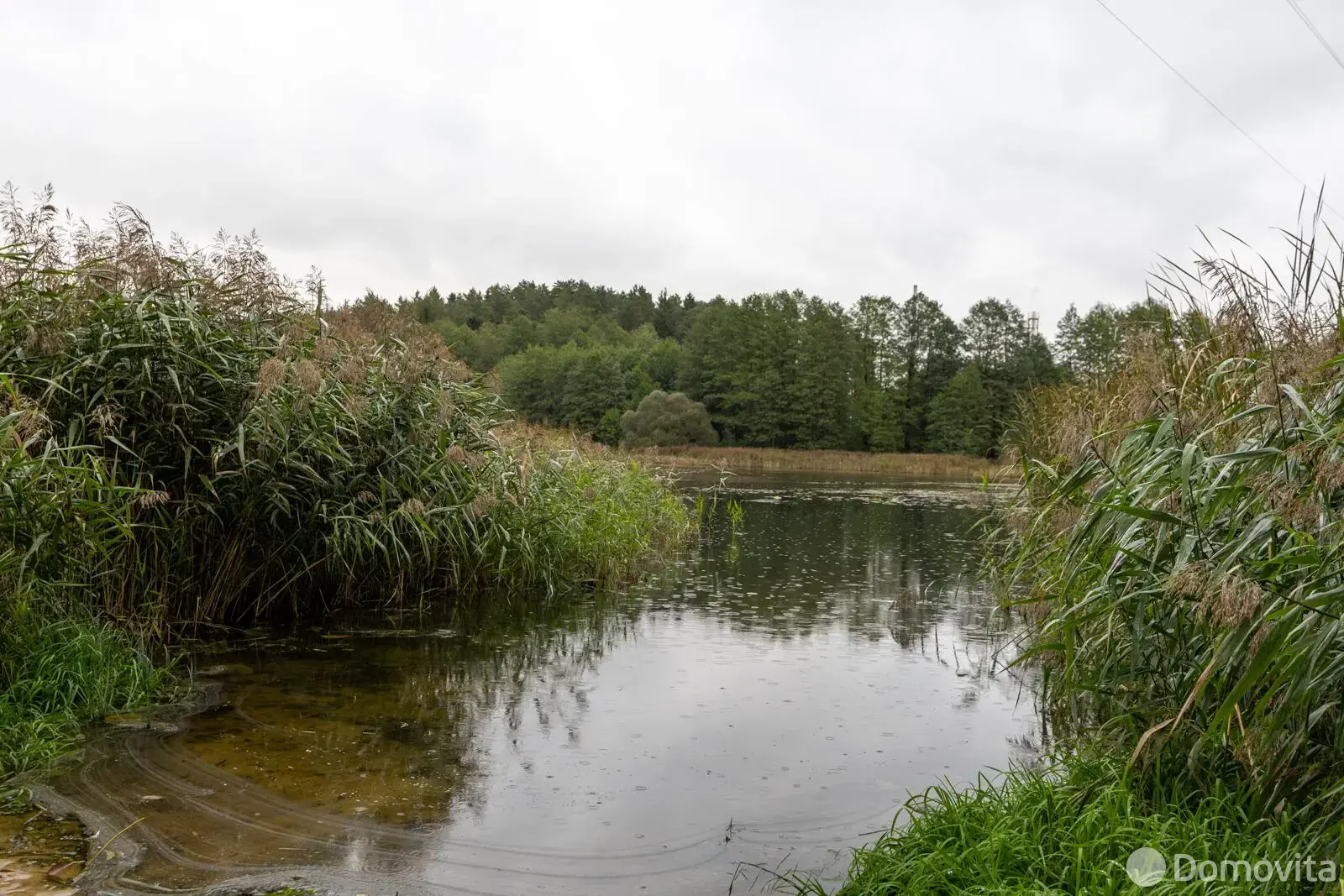 Продажа 1-этажной дачи в Станкостроитель Минская область, 24000USD, код 184279 - фото 17