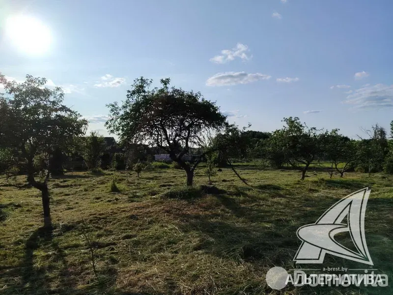 дом, Чемери 1,