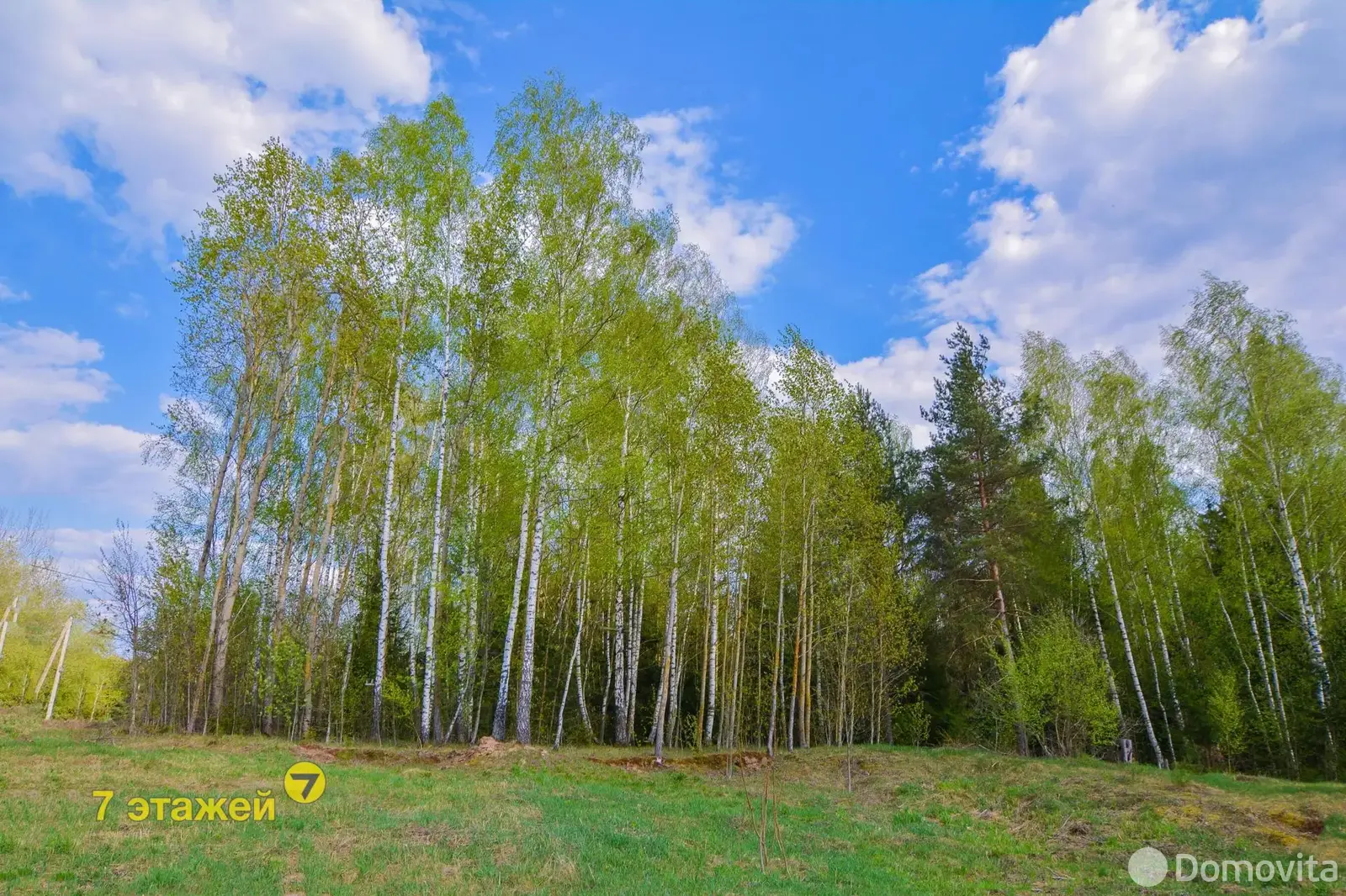 Стоимость продажи участка, Ландыш 2005, 