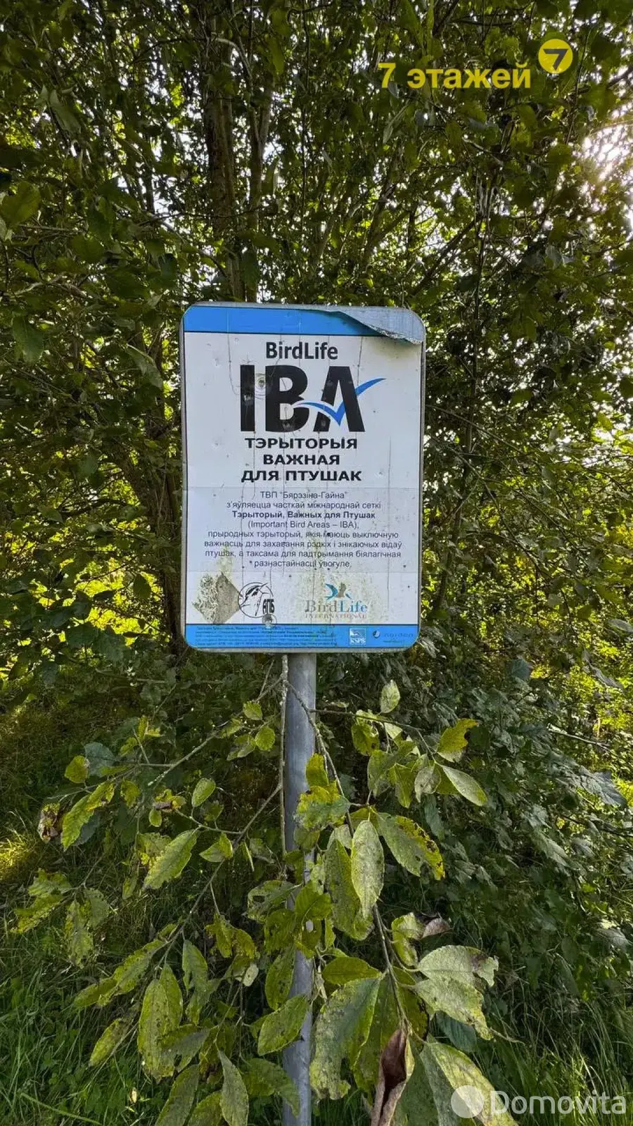 Продажа 2-этажной дачи в Энергостроителе Минская область, 8000USD, код 175338 - фото 41