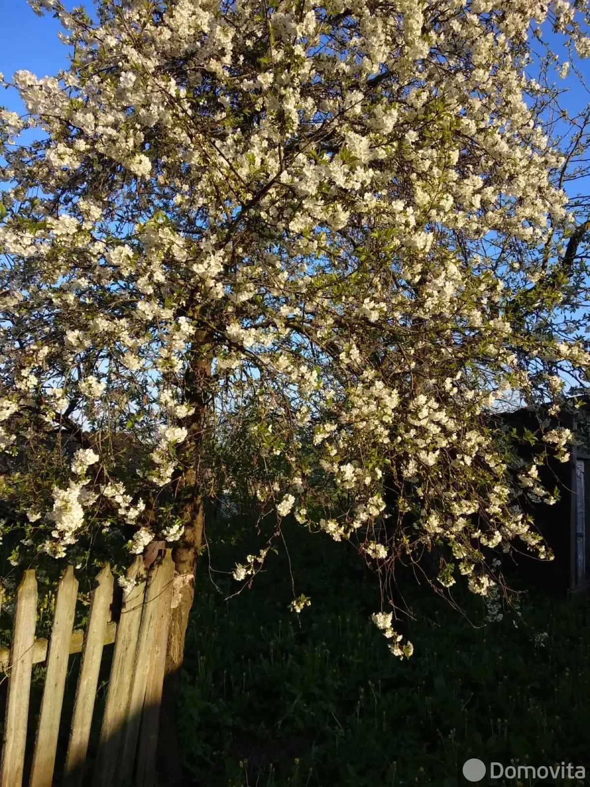 дом, Тимковичи, , стоимость продажи 24 562 р.