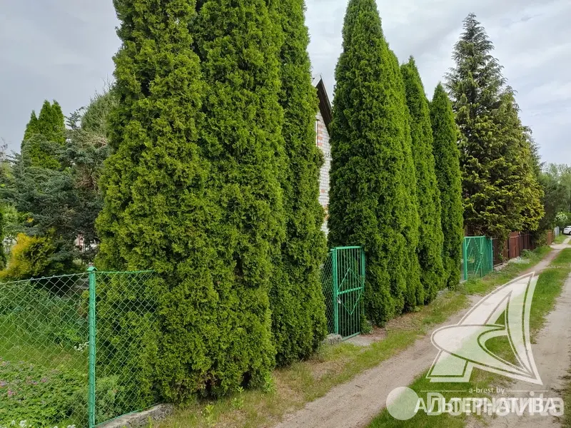 Продажа 2-этажной дачи в Жемчужина-1988 Брестская область, 88000BYN, код 185911 - фото 37