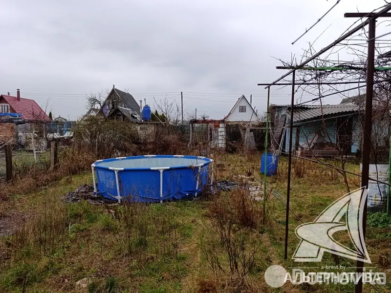 Купить 1-этажную дачу в Здоровье 2008 Брестская область, 15500USD, код 185353 - фото 31