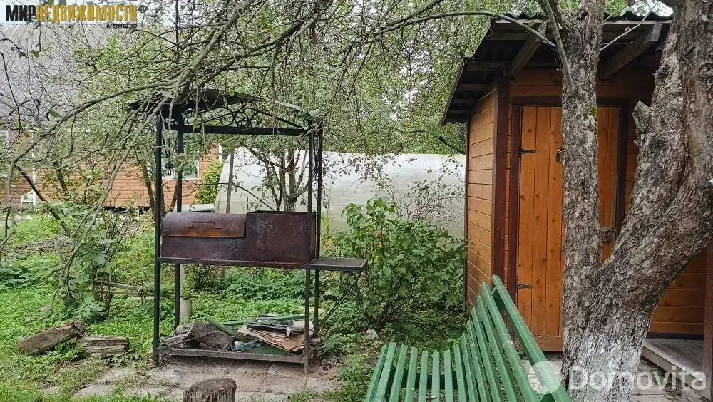 дача, Елочка, 