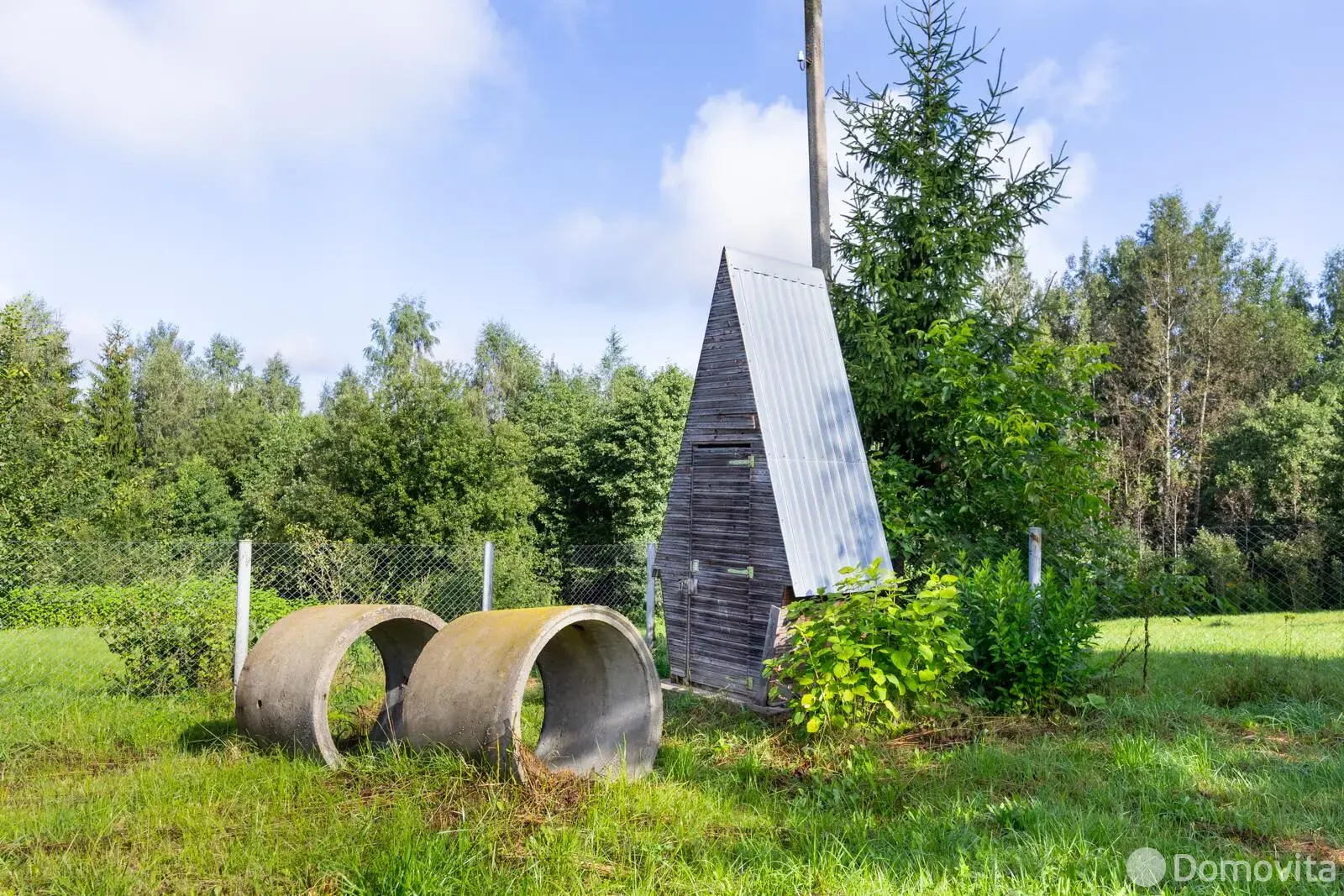 дача, АЛЕСЯ,