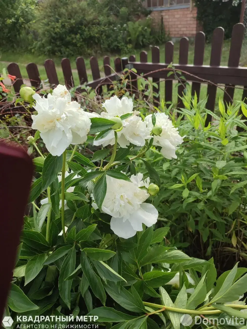 Купить 1-этажную дачу в Сосны-Сад Минская область, 18000USD, код 184258 - фото 15