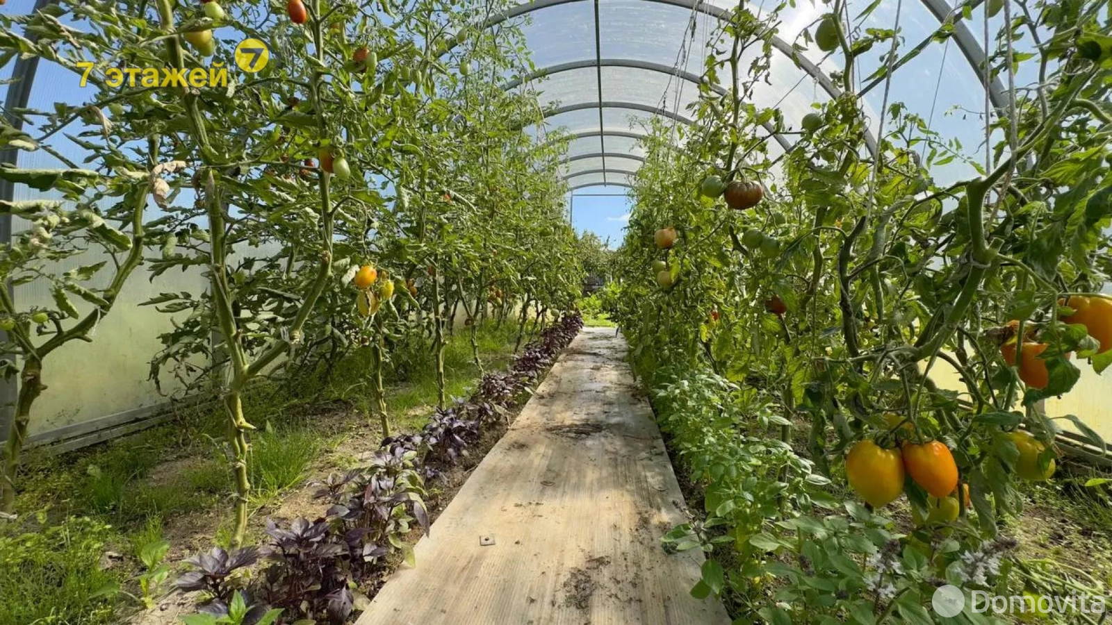 Продажа 3-этажной дачи в Обувщик-луч Минская область, 70000USD, код 174868 - фото 60