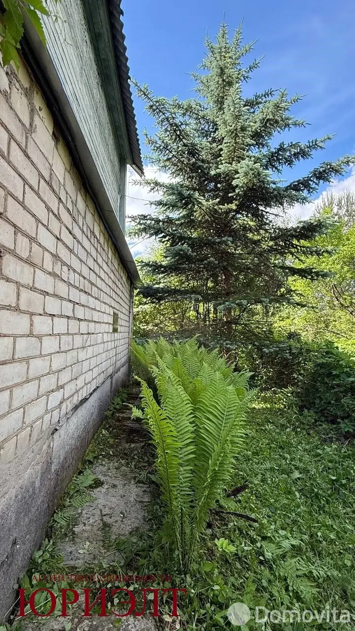 Продажа 1-этажной дачи в Пальминке Витебская область, 35000USD, код 186326 - фото 23
