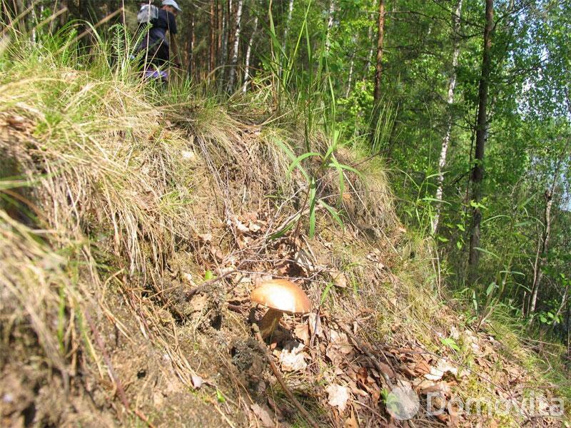 Купить помещение под сферу услуг в Колоднице, ул. Центральная, д. 108 - фото 31