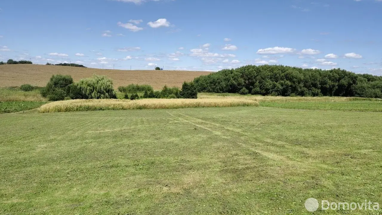 участок, Динаровичи,