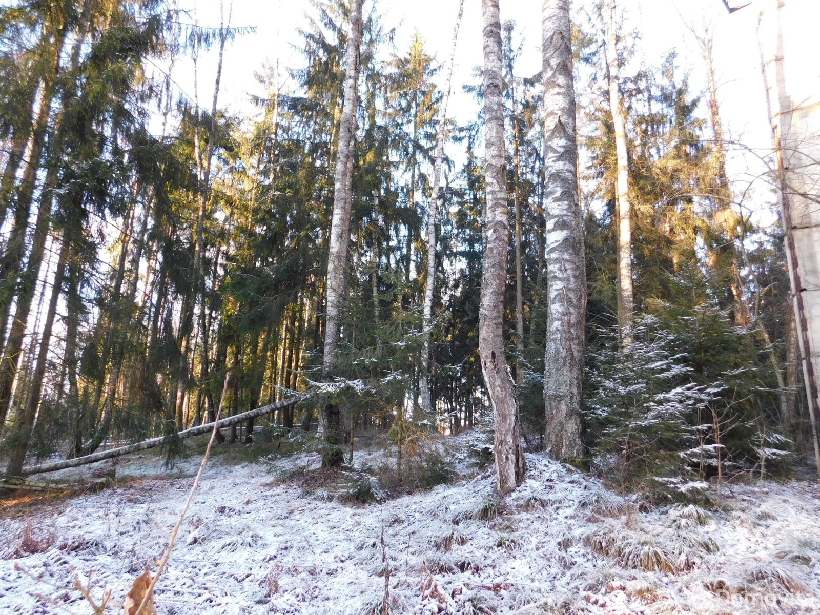 купить офис, Задомля,