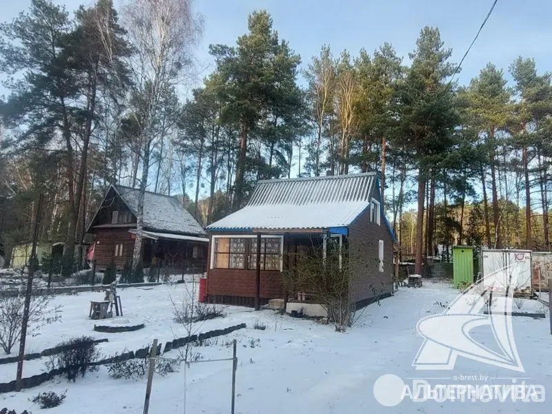 Стоимость продажи дачи, Лира-5, 