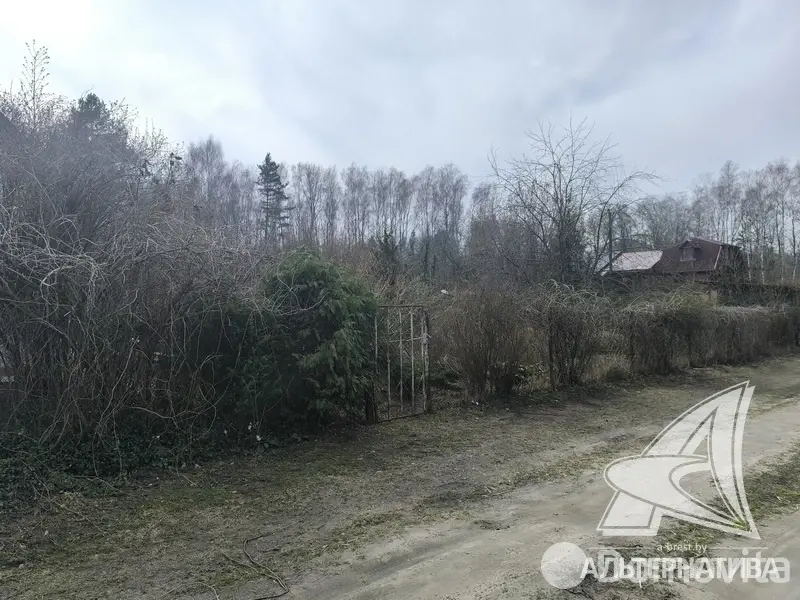 Купить 2-этажную дачу в Буг Жабинковского района Брестская область, 15000EUR, код 181980 - фото 24