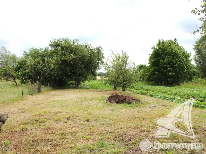 участок, Новосады, 