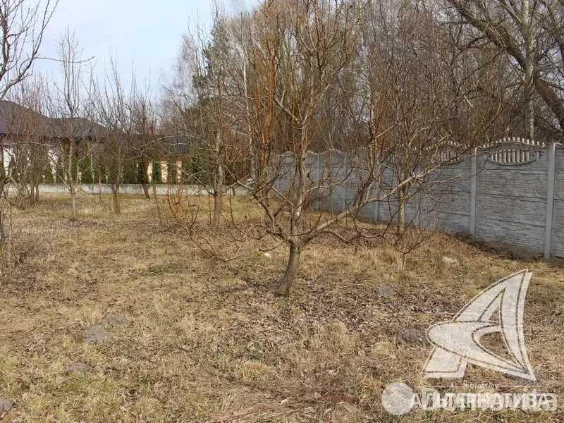 Купить земельный участок, 10 соток, Бульково, Брестская область, 23000USD, код 571659 - фото 11