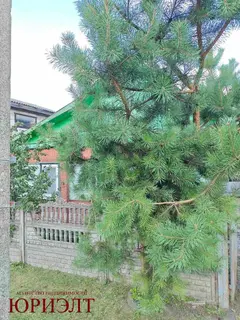 1-этажный коттедж, г. Могилев, ул. Актюбинская