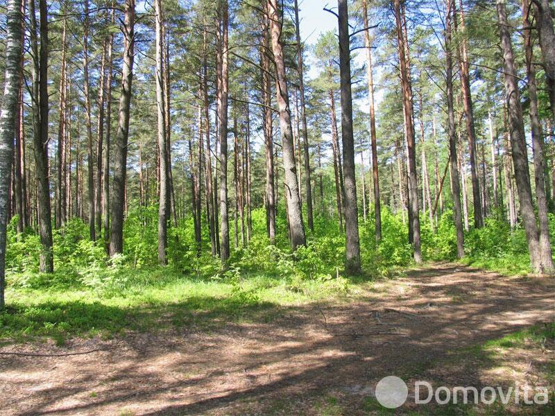 Купить помещение под сферу услуг в Колоднице, ул. Центральная, д. 108 - фото 28