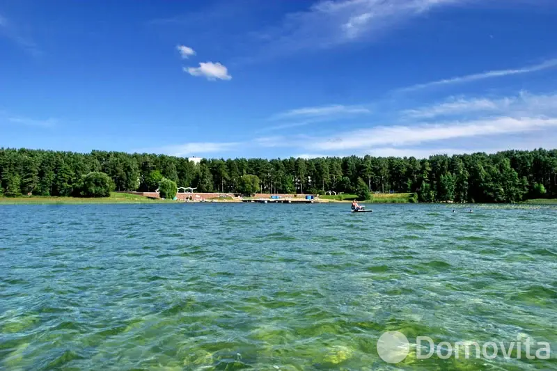 коттедж на сутки, Раубичи, 