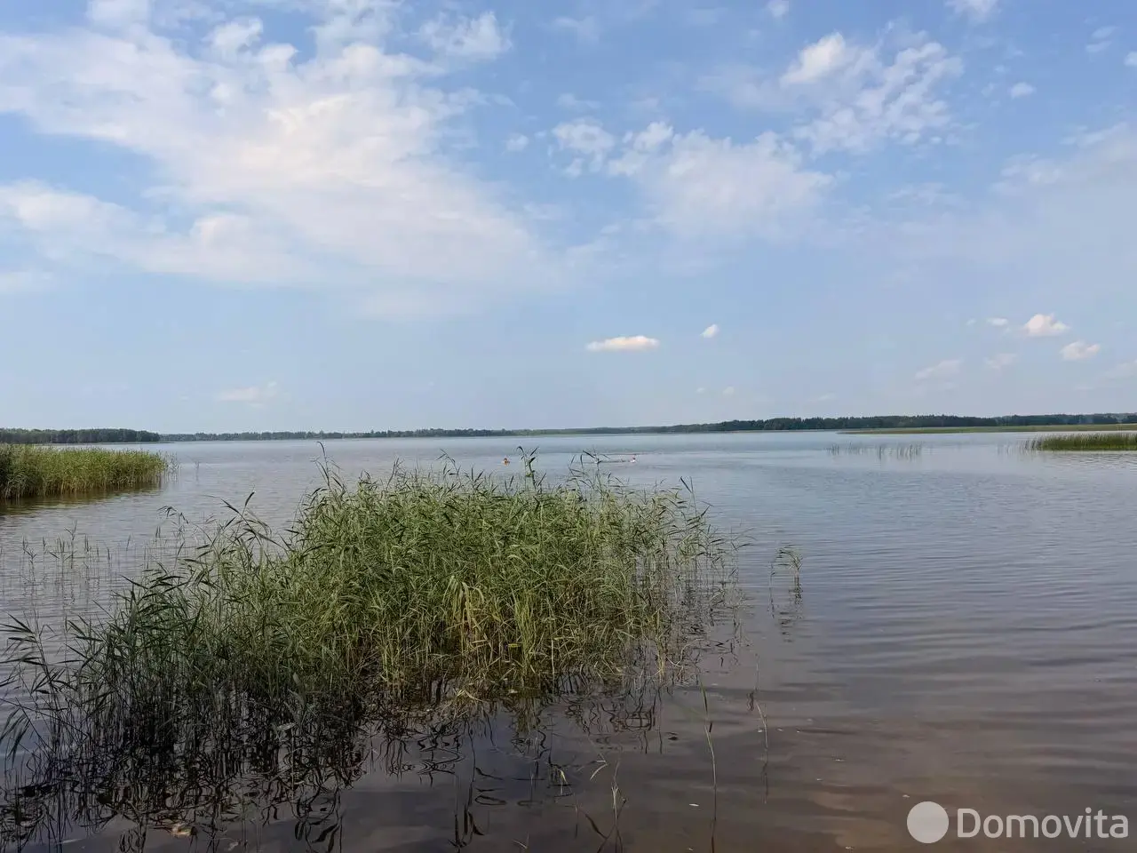 Купить земельный участок, 25 соток, Азарки-Пудовинка, Минская область, 33000USD, код 572433 - фото 11